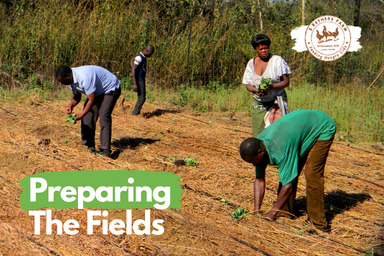 Preparing The Fields