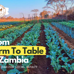 From Farm To Table In Zambia