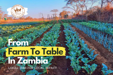 From Farm To Table In Zambia