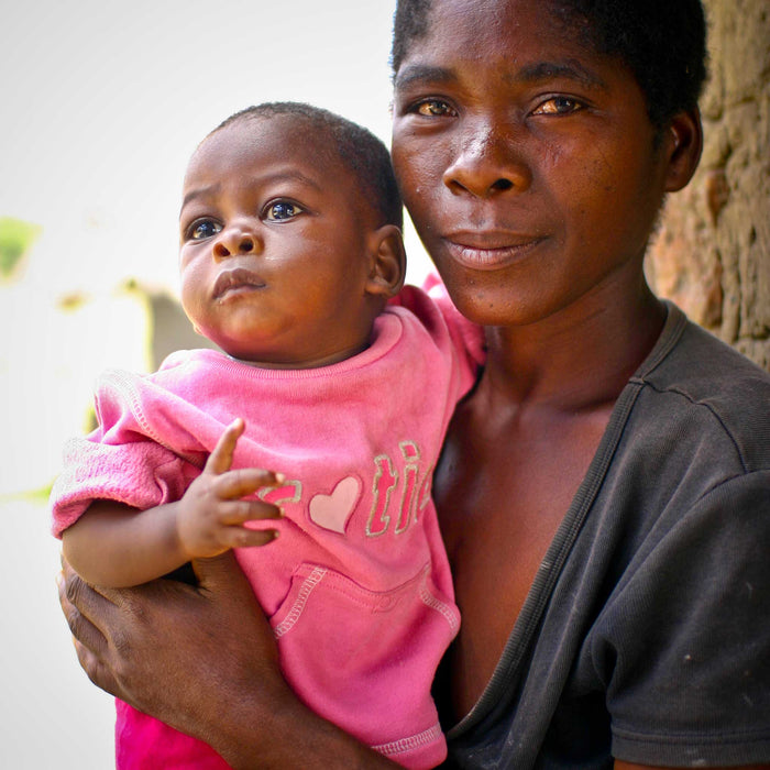 Zambia Update #4