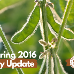 Spring 2016 Soy Update