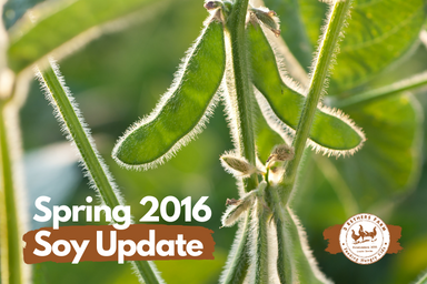 Spring 2016 Soy Update