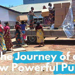 The Journey Of A Sew Powerful Purse